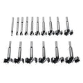 16 PC Forstner Bit Set image 0