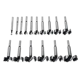 16 PC Forstner Bit Set image 0